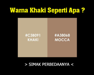 Warna Khaki Seperti Apa