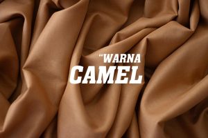 warna camel