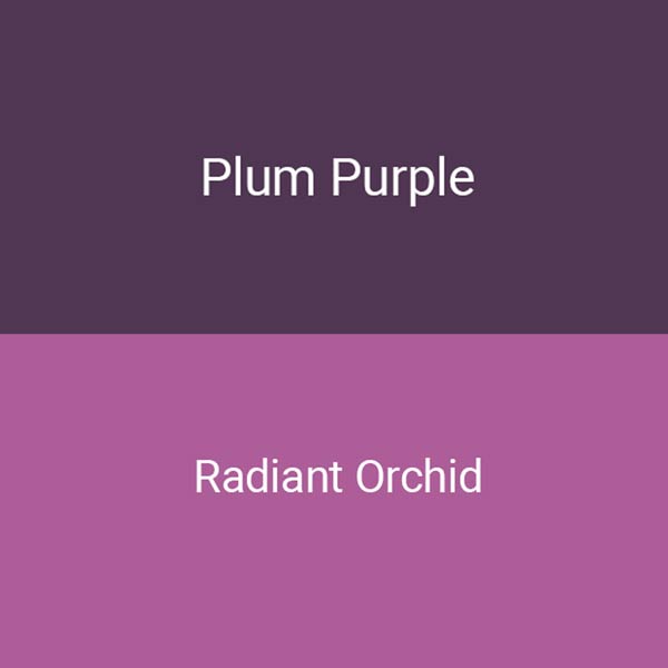 warna plum seperti apa